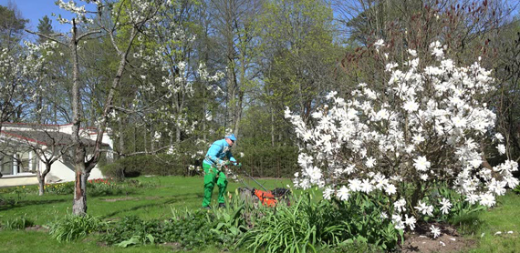 Spring Cleanups