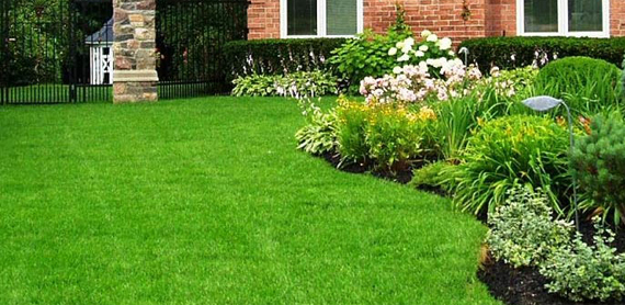 Lawn Care Etna NH
